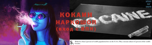 трава Карпинск