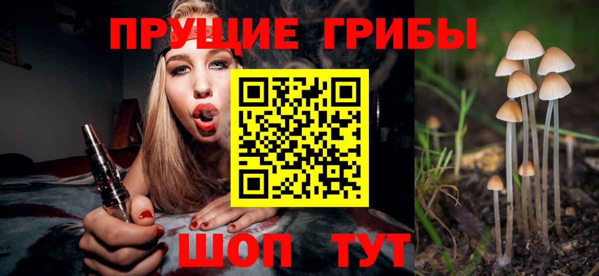 сколько стоит  Вход с VPN  Белореченск  Псилоцибиновые грибы мухоморы 